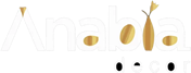 logo rodape png